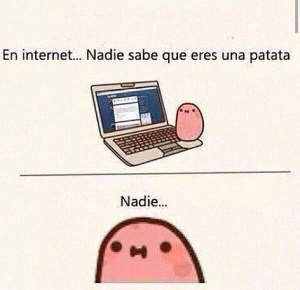INCOHERENCIA™ tweet media