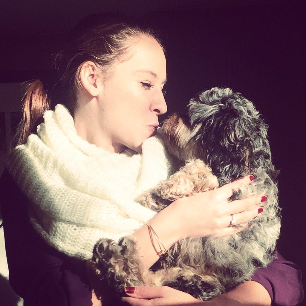 becca_vietze's tweet image. “@keepercockapoo: http://t.co/YgVb4dxeCA” everyone follow my dog 😂🐶