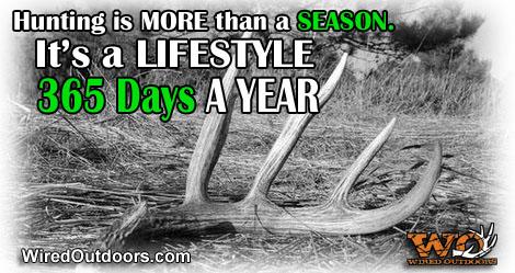 WhitetailIns's tweet photo. Yep! Couldn’t agree more! http://t.co/a0Hokh3210