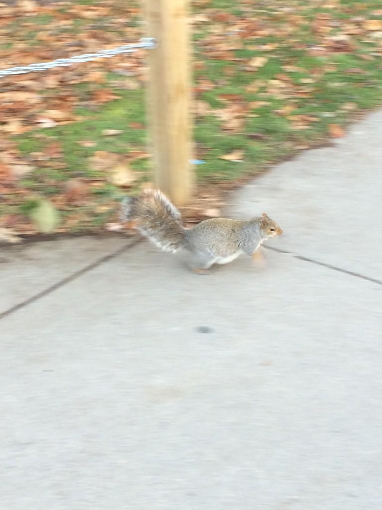 GeneseoProblems's tweet photo. When you just gained 50 lbs at Fusion but you see the Chowhound close by. http://t.co/OYz3dht2pc