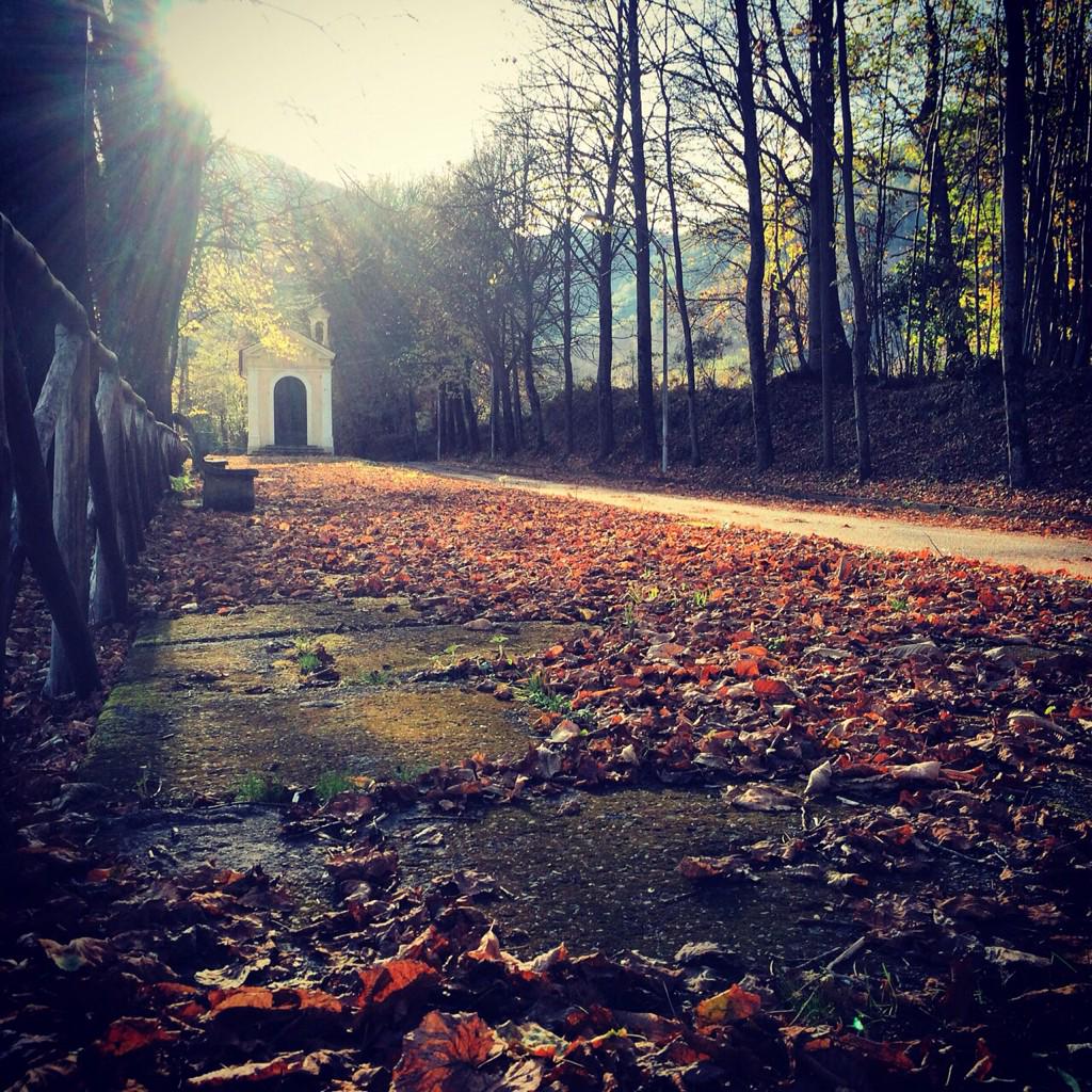 TrecchinaInfo's tweet photo. L'#autunno di @disma86 - #Trecchina - Parco #Forraina - #24novembre2014 @Basilicata_Tur http://t.co/IAG7eQev1t