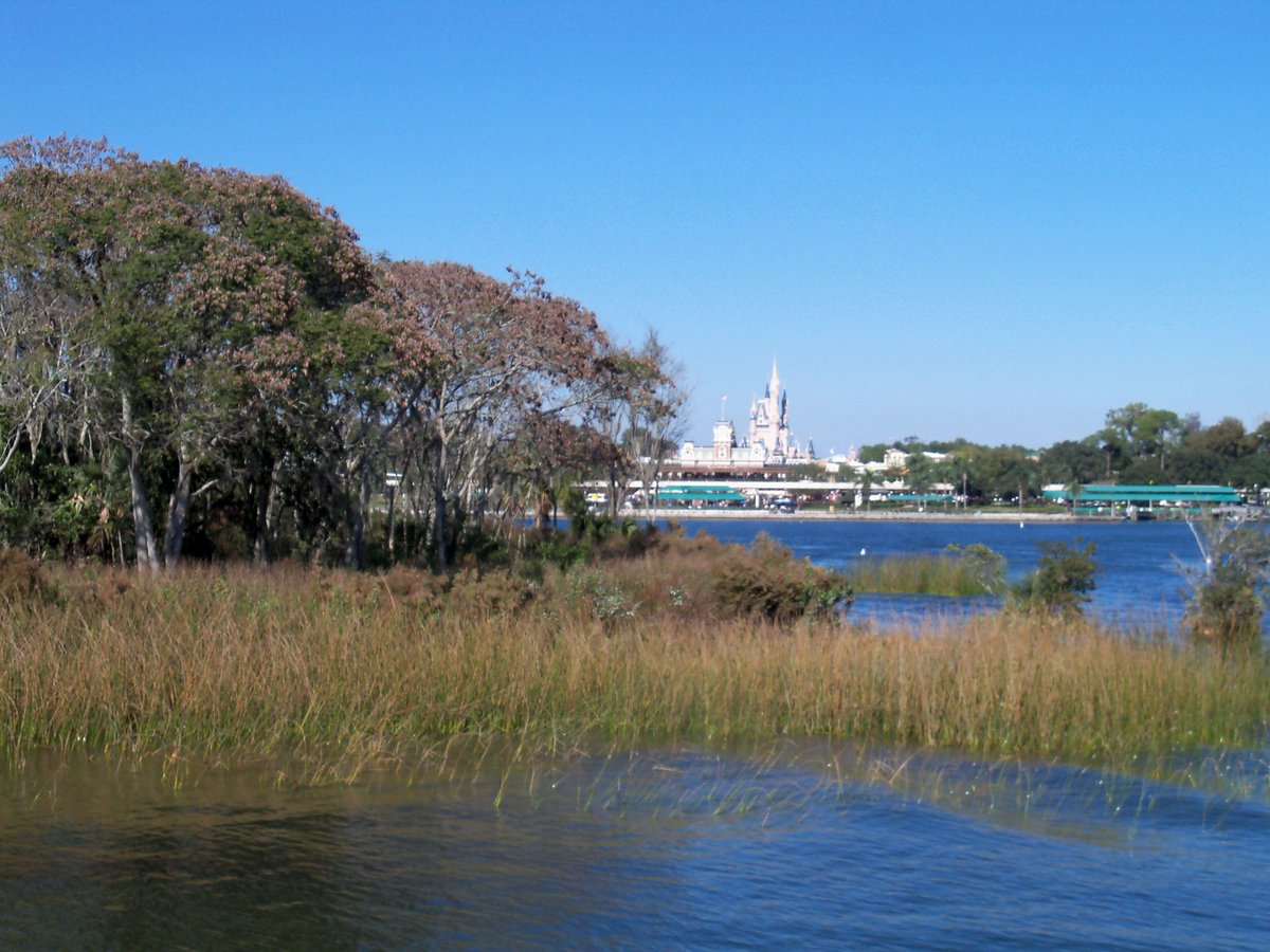 ron gibson tweet media