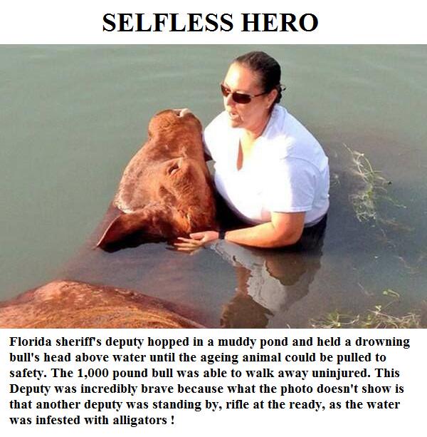 Protect_Wldlife's tweet photo. Thank You. http://t.co/ylPNuuvwUk