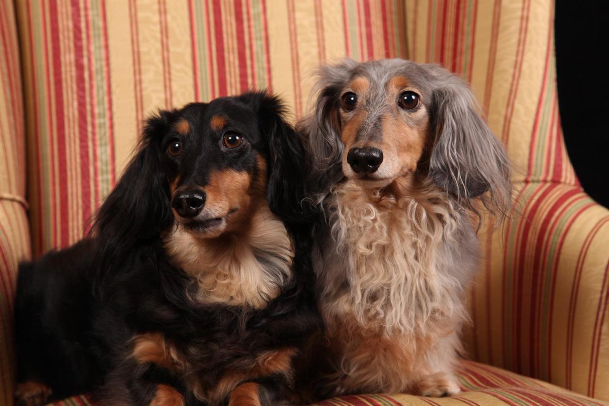 Colin Adams tweet media