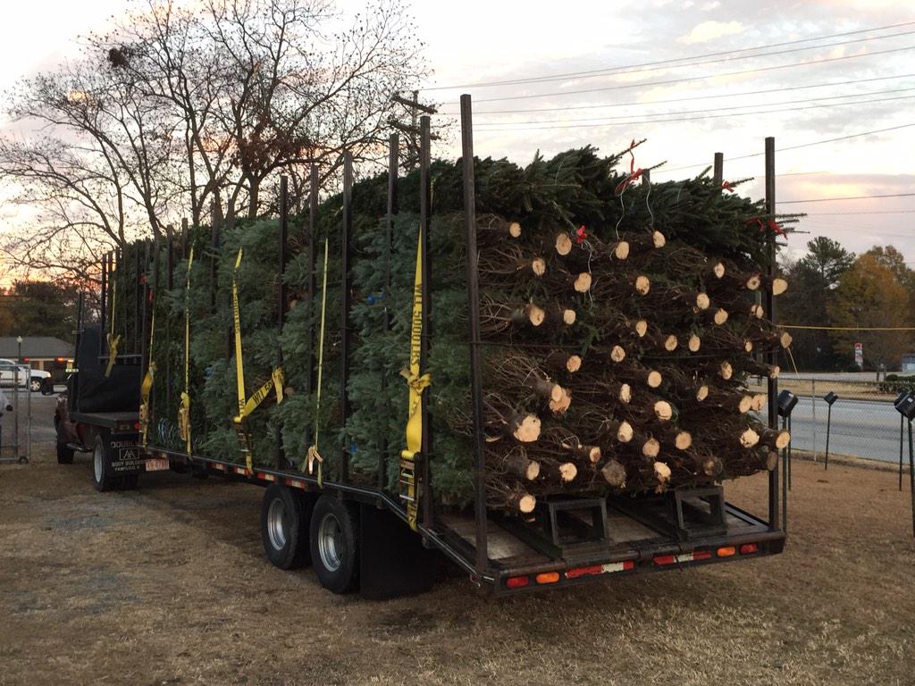 TreesClinton's tweet image. They're here!!!!!