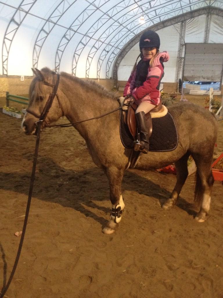 HackneyAmie's tweet image. Child sits pony through her spook #windproblems #goodpony4not dumpingher