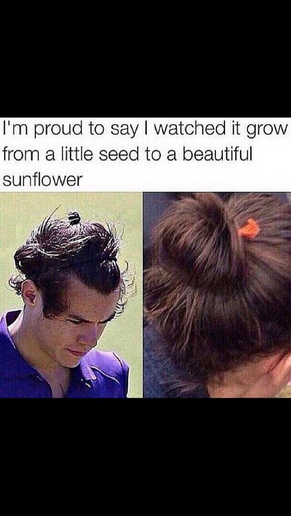 manbun94's tweet image. I've followed you from the start, how about returning the favor with a follow? 24 and #1DAF @Harry_Styles 😘