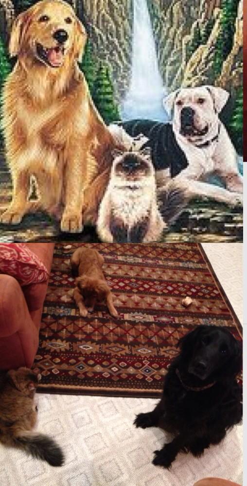 TristainBurgess's tweet photo. Yeah pretty much #homewardbound http://t.co/oztHTj3pia