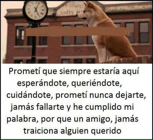 arevalo_martin's tweet photo. Verdades VIII... http://t.co/rsL7P2Rac8