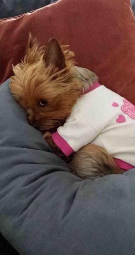 ItsBaeFeelings's tweet photo. when ur mad but bae asks u if u want food http://t.co/TN7OaxG74r