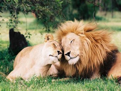 sabilapatel's tweet photo. The king &amp; his queen. ❤️ http://t.co/XOUhahE5tM
