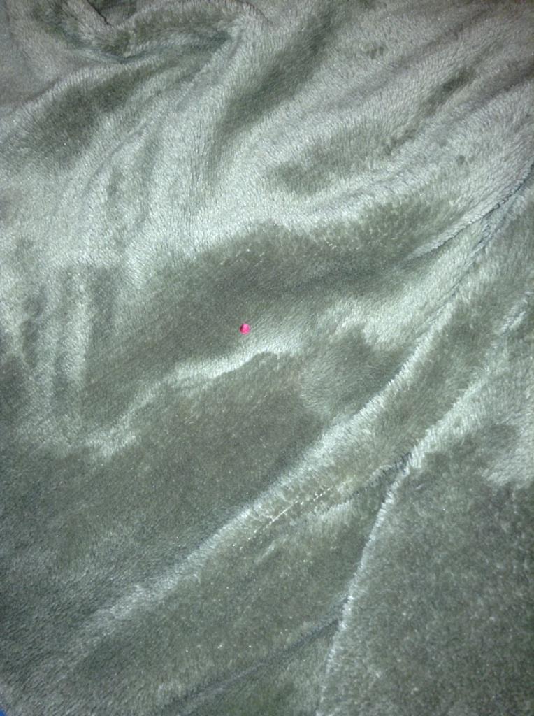 chstrebs's tweet photo. I spy with my little eye... http://t.co/Yn8IHXyVX9