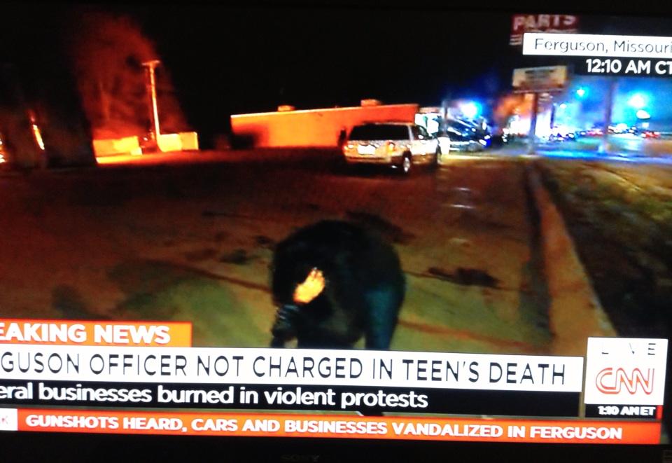 CNN Sara Sidner hit in head by rock reporting live in Ferguson VIDEO