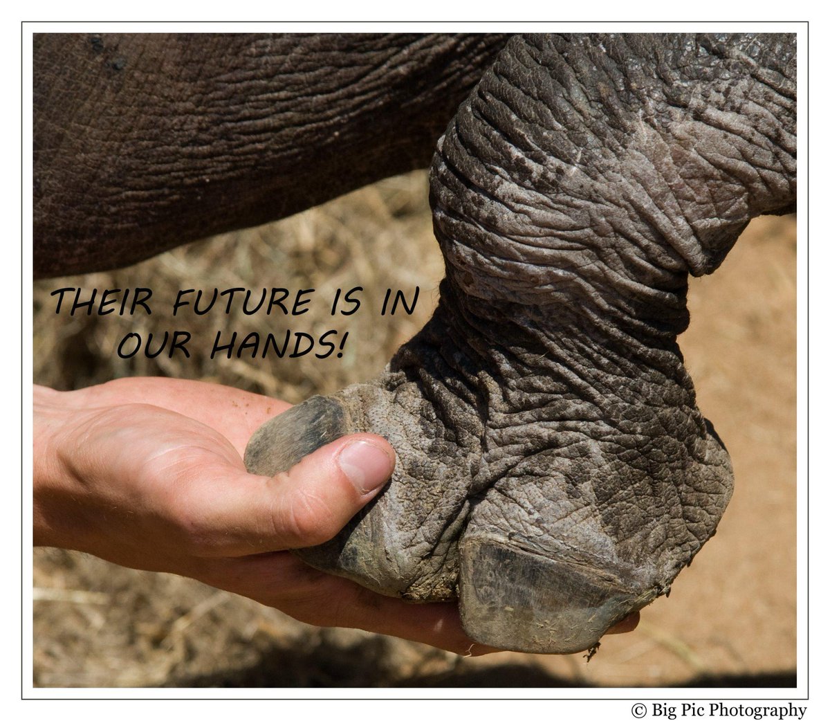 Our generation can't be the one to lose the fight! <a href="/DaleSteyn62/">Dale Steyn</a> <a href="/albiemorkel/">Albie Morkel</a> <a href="/SavingSurvivors/">Saving The Survivors</a> #FootOfAnOrphan