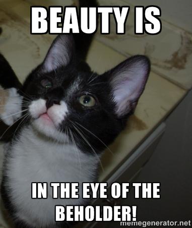 Can you "see" past my special eye to notice what a wonderful kitten I am? petfinder.com/petdetail/3089…