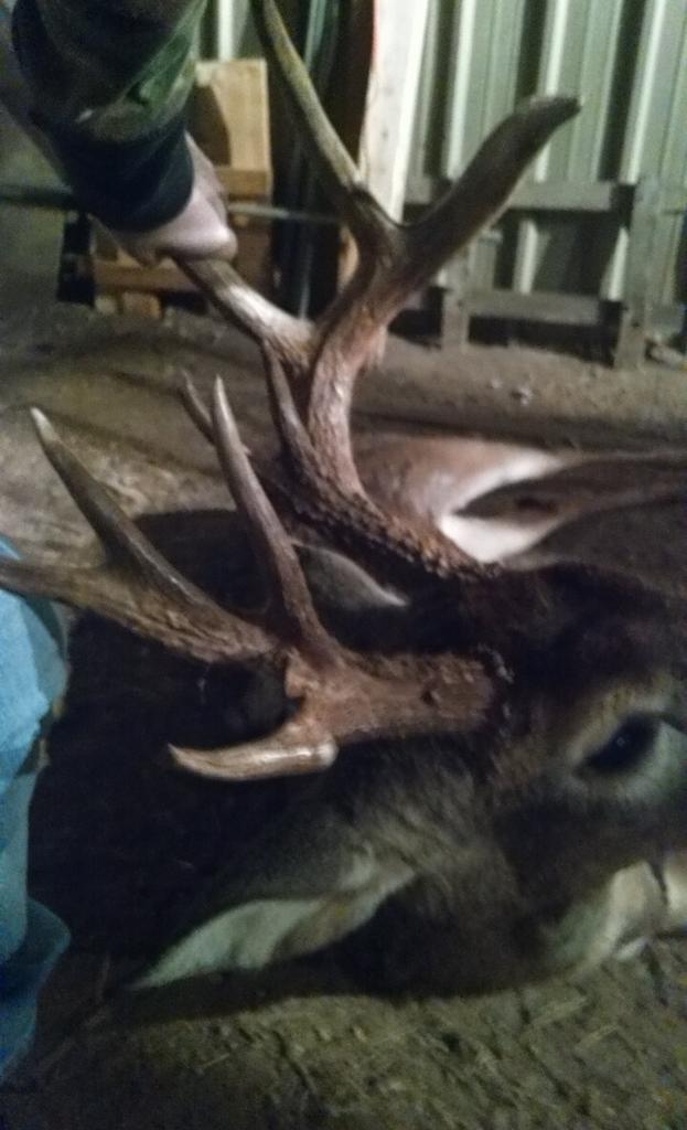 scc9190's tweet photo. Love my life #deerhunting #bow2014 http://t.co/K7kZ8OAPHR