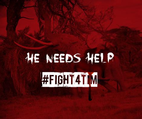 wildlifedirect's tweet photo. #Fight4Tim! #Fight4Tim @paulakahumbu @bkangongoi http://t.co/bPV3hu34L1