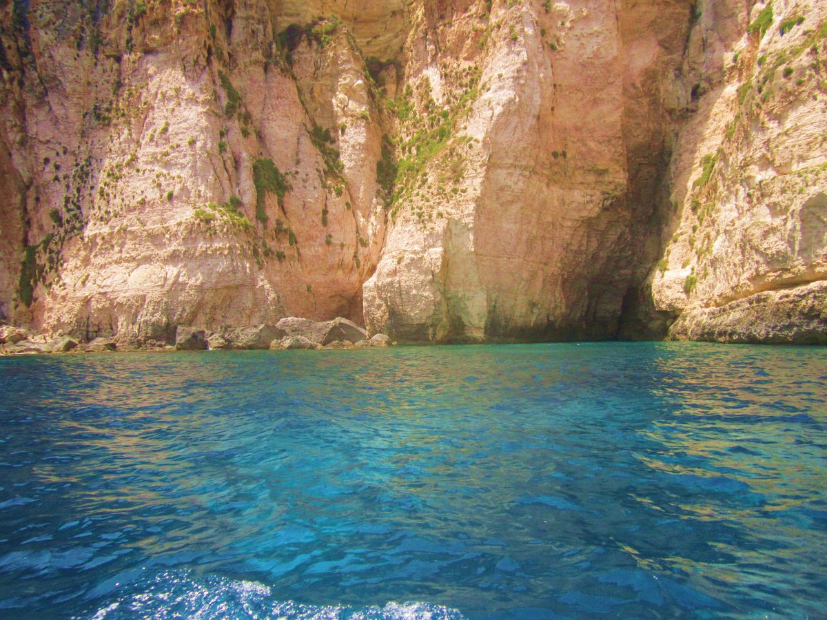 P_UDN's tweet photo. Buenos días #naturalezapudn #pudn http://t.co/FsyAsOiO0q