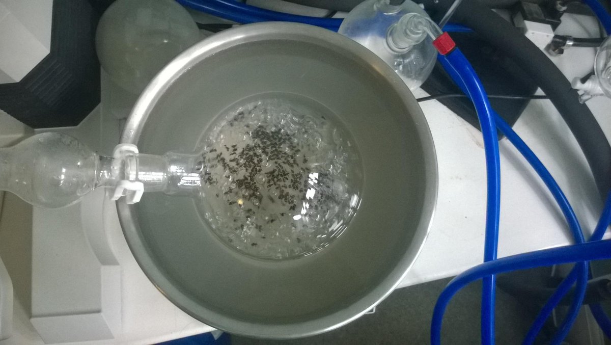 antygin's tweet photo. Red wood ant distillation at @CambridgeGin one litre a time. Cheers! @NordicFoodLab likes #Formicacid #HCOOH. http://t.co/WNSry22mz4