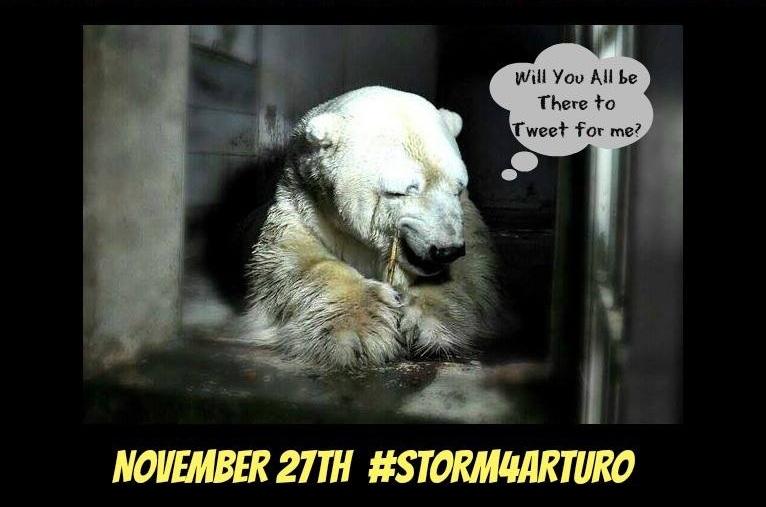 FreeArturo2's tweet image. DONT MISS FINAL TWEET STORM FOR ARTURO NOV 27th 21.00 GMT 22.00 CET 15.00 CST

facebook.com/events/1509009…

#Storm4Arturo
