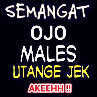 muridno tweet picture