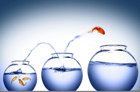 techdotinfo's tweet photo. SDN ambitions continue to outpace SDN capabilities http://t.co/Frg1m1Ap9u http://t.co/NNVeSWfMHC