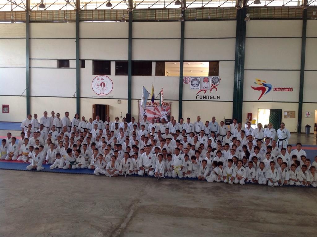EnElTatami's tweet photo. Seminario organizado por Nippon Budo Sosei Kai con el Shihan #ToshiakiNogiwa. #karate #NBSK #EnElTatami @diazkarate http://t.co/urE8qTeflP