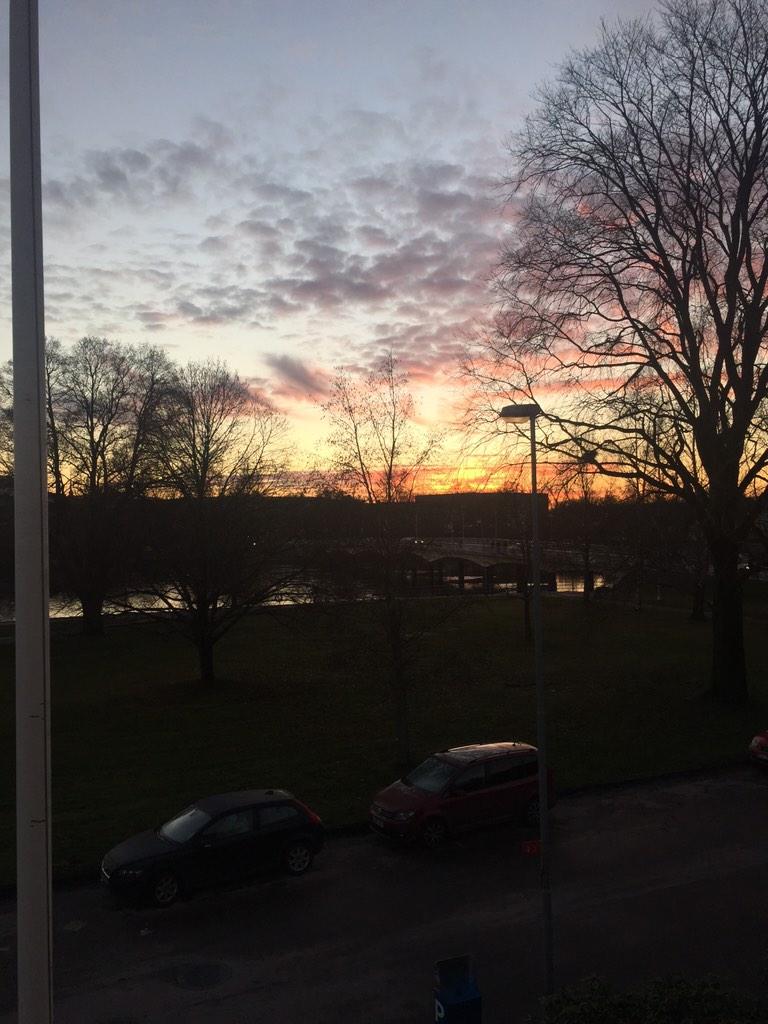 PerfektPrognos tweet media