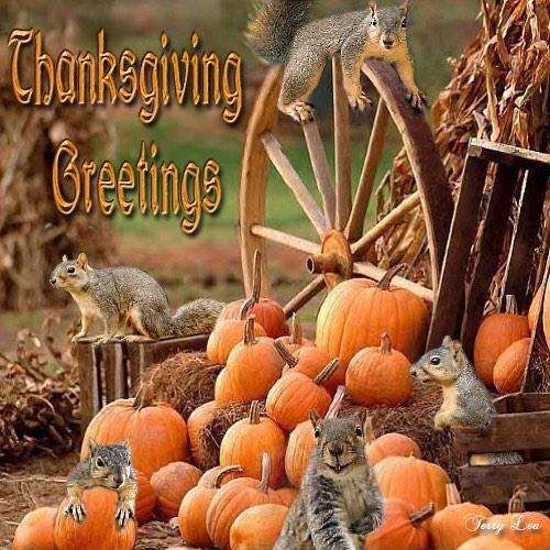 JhuSquirrels's tweet photo. From my family to yours http://t.co/HKu3T1qPdi