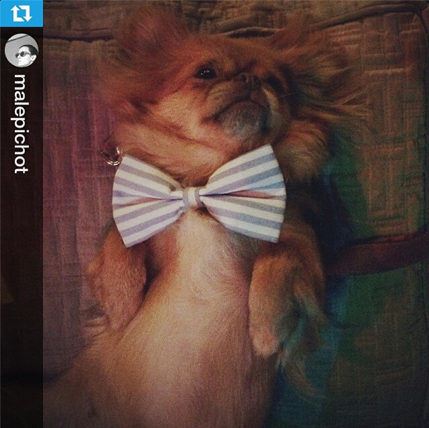 siddharthabsas's tweet photo. Ahora también seguinos en #Instagram http://t.co/flVKUjsslg http://t.co/oeR7dRLUVz
