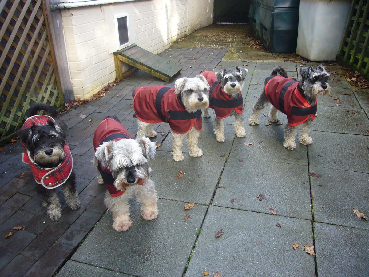 NotAPuppyFarm's tweet photo. We are ready for the winter. http://t.co/UC2SyP7RM2