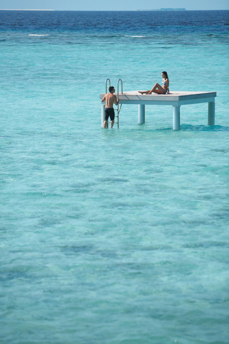 FSMaldives's tweet photo. Saying nothing...sometimes says the most. #emilydickinson #SurrenderToSilence @FourSeasons #Maldives #30DaysOfEnergy http://t.co/3adPxa5CsP