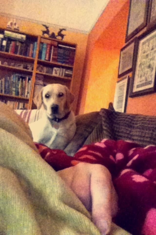 bexie2189's tweet photo. #selfie #dora #dog #lab #myfavgirls http://t.co/4gnuzt2h6M
