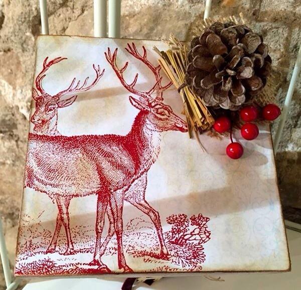 Taller de dissabte! Si voleu informació o qpuntar-vos truqueu al 93 804 51 15