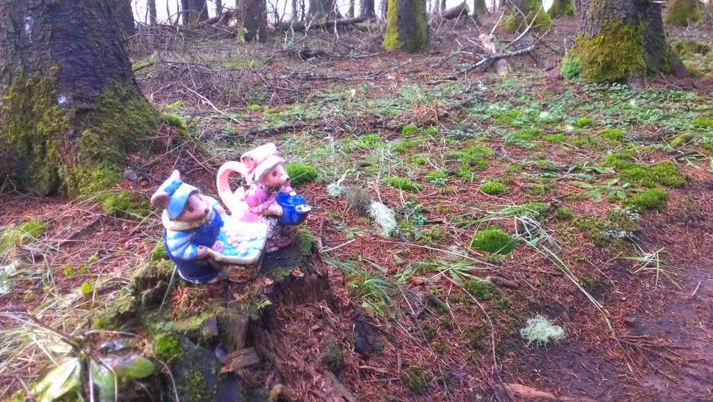 Tea time in the woods today. #orienteering #mapping #forestgems