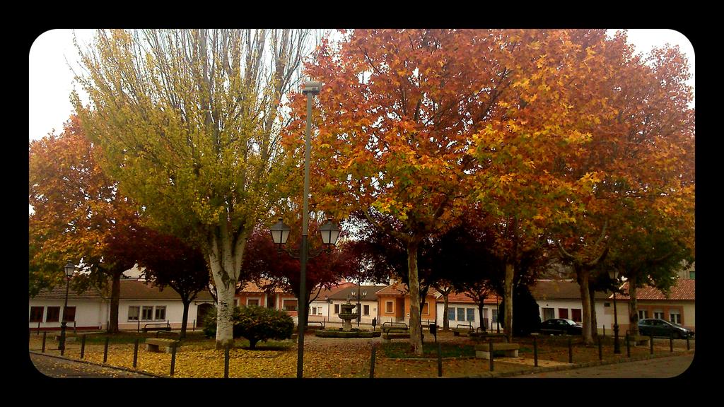 #otoño #coloresbonitos #hojasalsuelo #Iscar @TurismoIscar