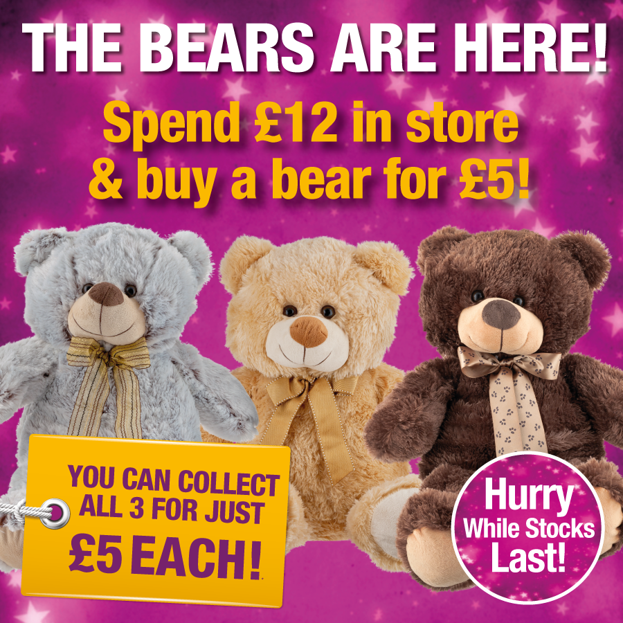 poundland teddy bears