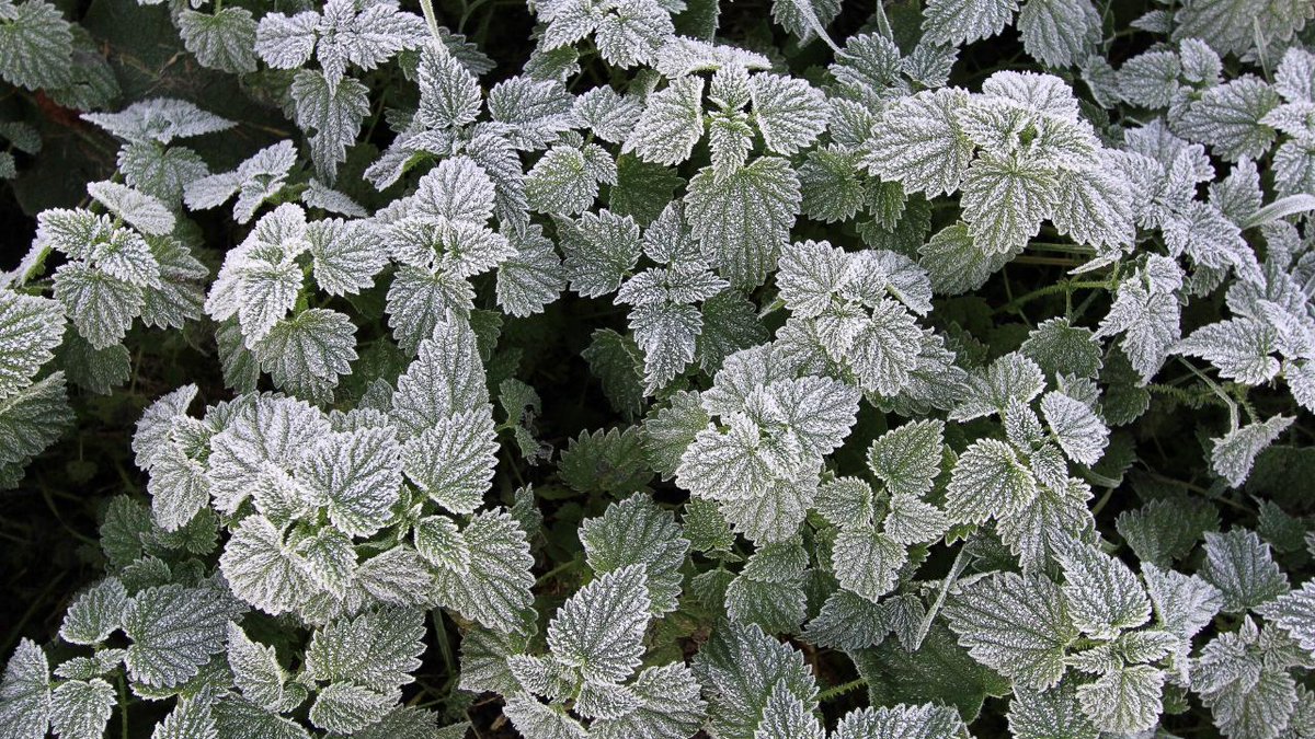 Meer wolken en morgen vooral in het westen wat regen. In het #Weerjournaal hoor je alles: youtu.be/BIL4ek-VJlg