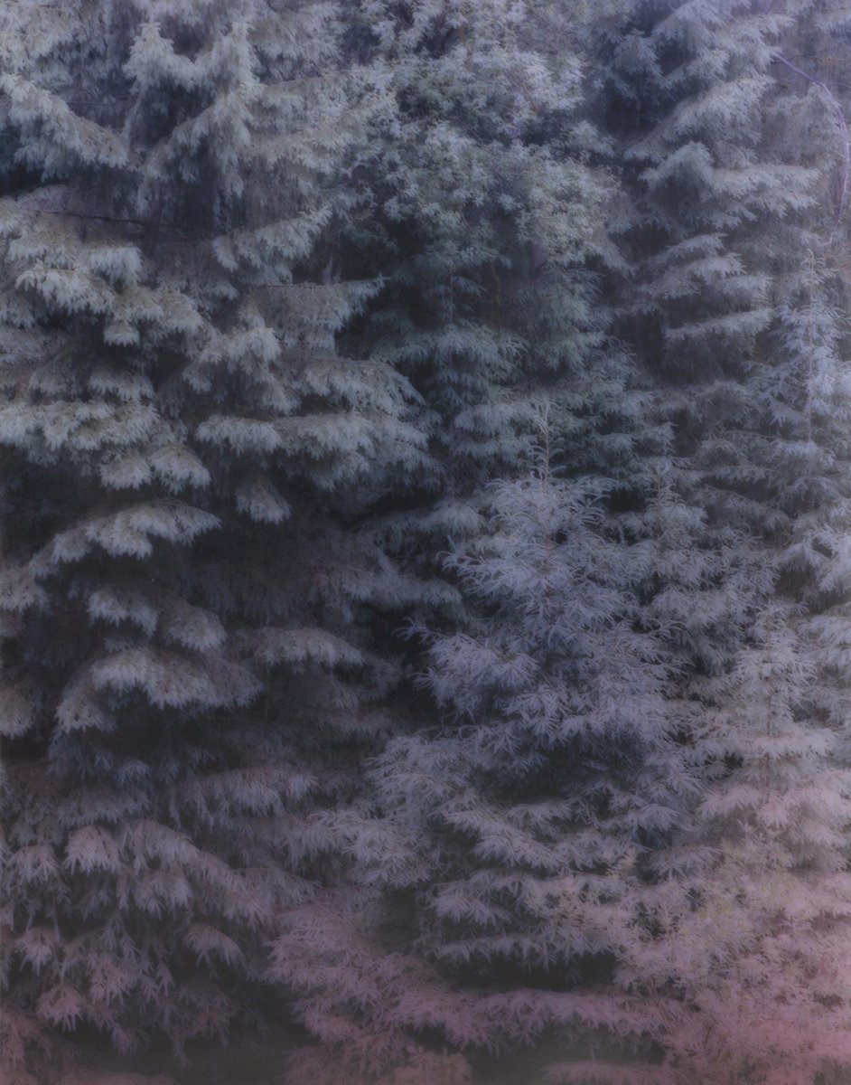 SladeSchool's tweet photo. The beautiful Slade Christmas Card 2014 by student Amira Fritz. Available exclusively at #sladeprintfair http://t.co/yZQI7oBSbi