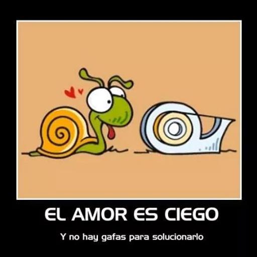 TabordaMarce's tweet photo. @DraPoloOficial http://t.co/QTNwUrynnh