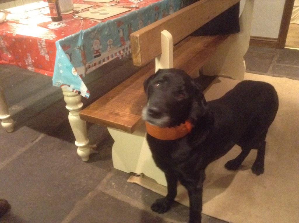 MooroMooroboy's tweet photo. First Christmas dinner in the bag. First party hat tried on. Watch and learn ! http://t.co/dqhDmGYPeI