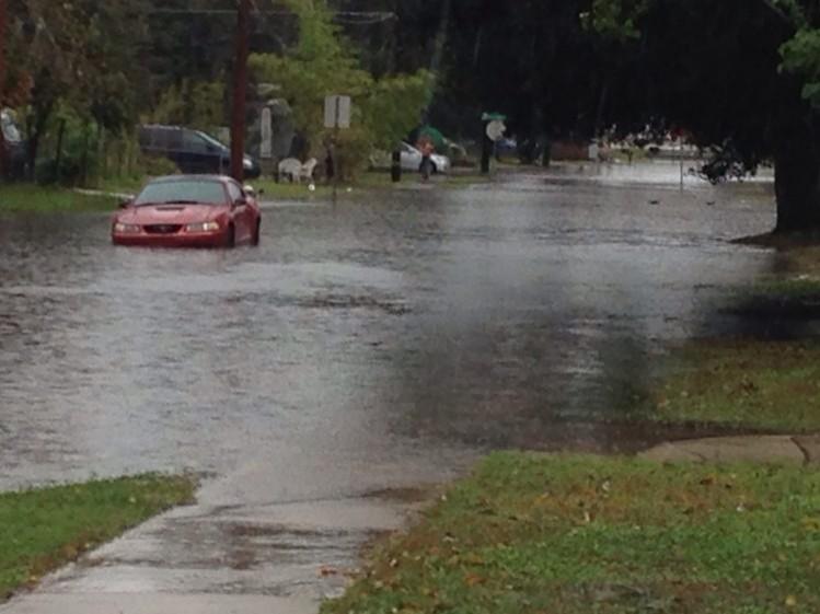 RikkiKlausWESH's tweet image. Mustang parked, ducks swimming in flooded road near Lee and 18th Streets in Orlando. #WESH2Storms