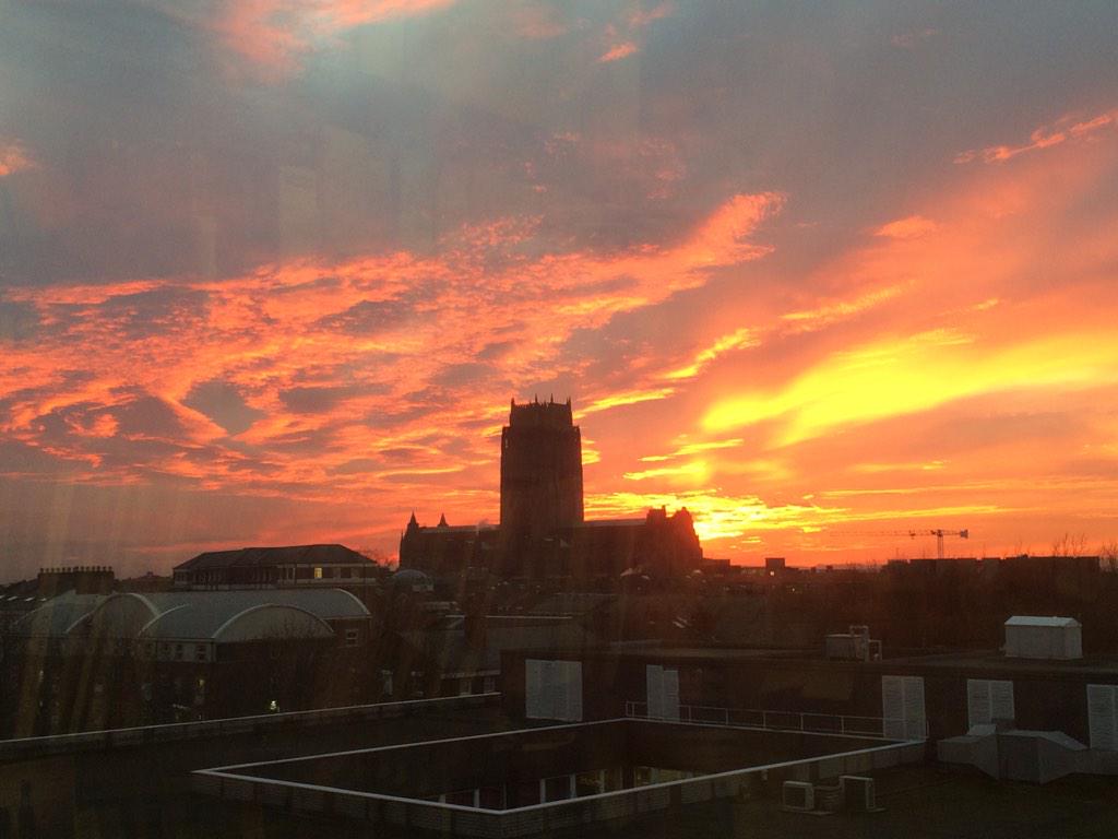 Andrew J. Plater tweet media