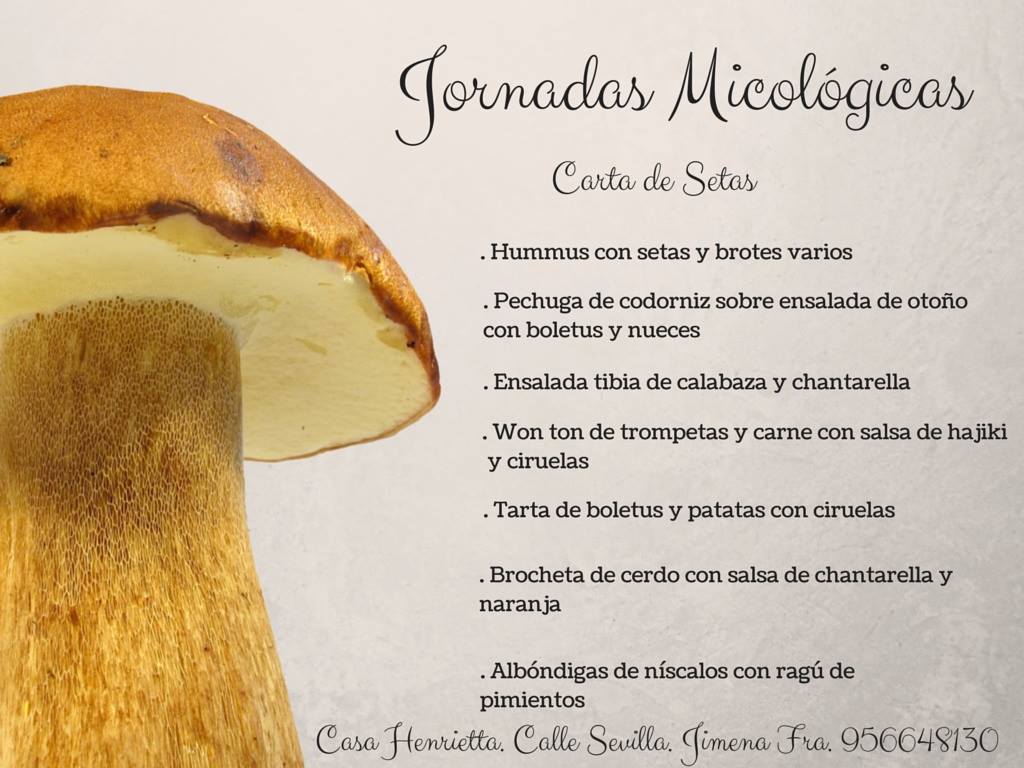 JORNADAS MICOLÓGICAS 2014 EN JIMENA DE LA FRONTERA DEL 28 AL 30 DE NOVIEMBRE