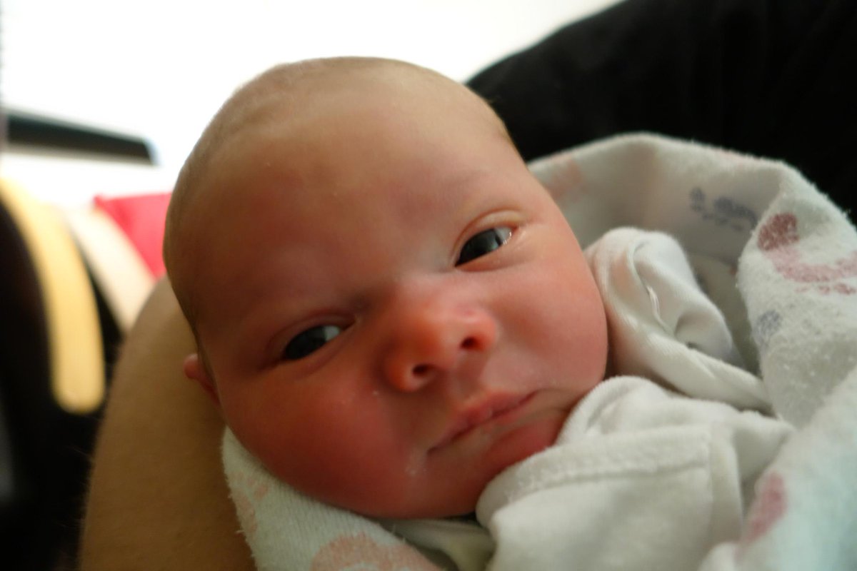 st0n3's tweet photo. Long time #familyhistory buff. This weekend saw a most rewarding addition to my tree - my first grandchild. http://t.co/7mViOkO69j