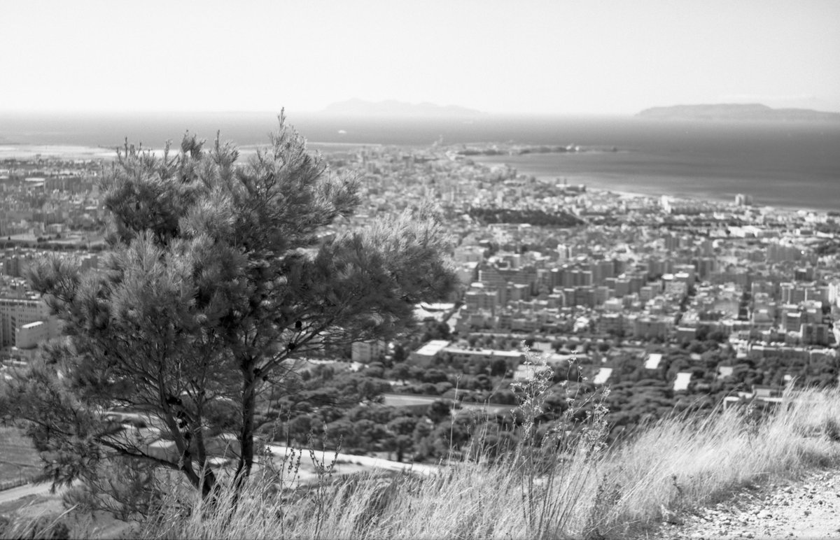 Why I shoot film you ask? Because with film, the older the cam, the more interesting it is. #zeiss #folder #rollei25