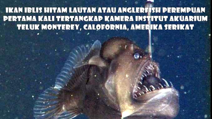 Vhykar Muhlis (@vhykarmuhlis) on Twitter photo 