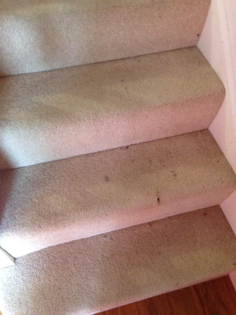 AjLynchservices's tweet photo. Lading &amp; stairs looking good in portishead @AjLynchservices #portishead #happycustomer http://t.co/iWd5emb9OW