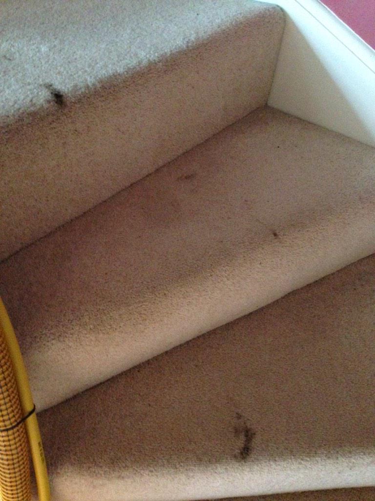 AjLynchservices's tweet photo. Lading &amp; stairs looking good in portishead @AjLynchservices #portishead #happycustomer http://t.co/iWd5emb9OW