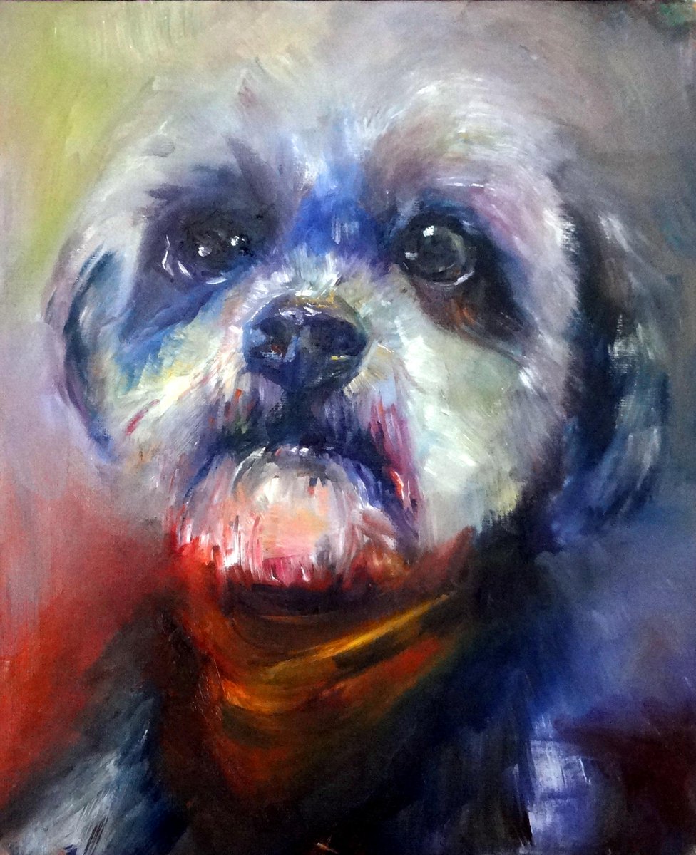 suegardnerart's tweet photo. Oil painting halfway through #workinprogress #petportrait #cavapoo #oilpainting I will finish painting him tomorrow! http://t.co/4bQD7vtsGl
